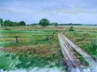 Country road from Den Huizen to the Reest.
Watercolour 50 x 70 cm. 2006  » Click to zoom ->